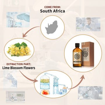 Lime Blossom Essential Oil AKARZ Natural And Pure ( 30ML  100ML )